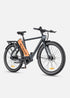 ENGWE P275 Pro | Bicicletta Elettrica | Motore centrale Bafang 250W | Sensore di coppia | 36 V 19,2 Ah SAMSUNG | Cintura in carbonio Gates | Autonomia 260Km| GARANZIA ITALIANA