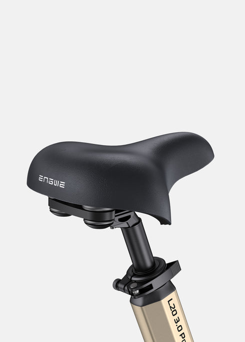 ENGWE L20 3.0 Pro | Bicicletta Elettrica | Motore Centrale 250W | Sensore di coppia | Certificata TÜV | GARANZIA ITALIANA e 100% A NORMA