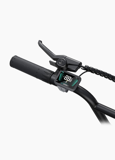 ENGWE L20 Boost | Bicicletta Elettrica | Versatile | Motore 250W | 48V 624wh | Sensore di coppia | 25km/h | Autonomia 126Km| GARANZIA ITALIANA