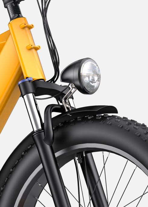 ENGWE E26 | Bicicletta Elettrica | Versatile | Motore 250W | 48V 16Ah | 25km/h | Autonomia 140Km| GARANZIA ITALIANA