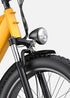 ENGWE E26 | Bicicletta Elettrica | Versatile | Motore 250W | 48V 16Ah | 25km/h | Autonomia 140Km| GARANZIA ITALIANA