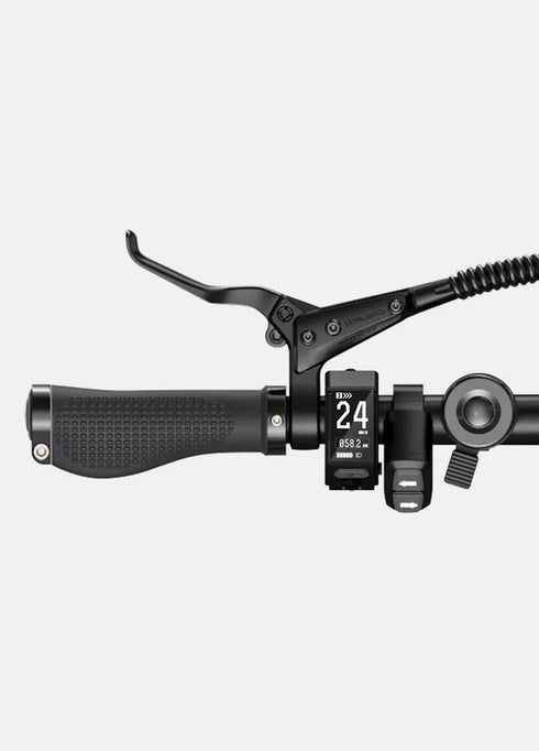 ENGWE P20 | Bicicletta Elettrica |Cintura carbonio | Sensore di coppia | Freno idraulico | Samsung batteria 100Km| GARANZIA ITALIANA