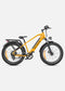 ENGWE E26 | Bicicletta Elettrica | Versatile | Motore 250W | 48V 16Ah | 25km/h | Autonomia 140Km| GARANZIA ITALIANA