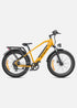 ENGWE E26 | Bicicletta Elettrica | Versatile | Motore 250W | 48V 16Ah | 25km/h | Autonomia 140Km| GARANZIA ITALIANA