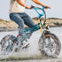 Fiido M1 Pro 2025 |GARANZIA ITALIANA| Bicicletta elettrica | Versatile | Motore 250W 50Nm | Batteria 556.8Wh | Sensore di coppia | Freni idraulici | Autonomia 88,79 Km