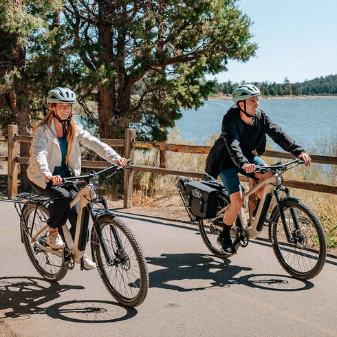Fiido Nomads | Bicicletta elettrica da turismo | Motore 250W | 417,6 Wh | Sensore di coppia | Freni idraulici | Autonomia 79.36Km| GARANZIA ITALIANA