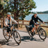 Fiido Nomads | Bicicletta elettrica da turismo | Motore 250W | 417,6 Wh | Sensore di coppia | Freni idraulici | Autonomia 79.36Km| GARANZIA ITALIANA