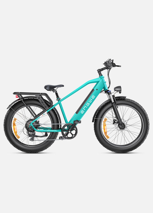 ENGWE E26 | Bicicletta Elettrica | Versatile | Motore 250W | 48V 16Ah | 25km/h | Autonomia 140Km| GARANZIA ITALIANA