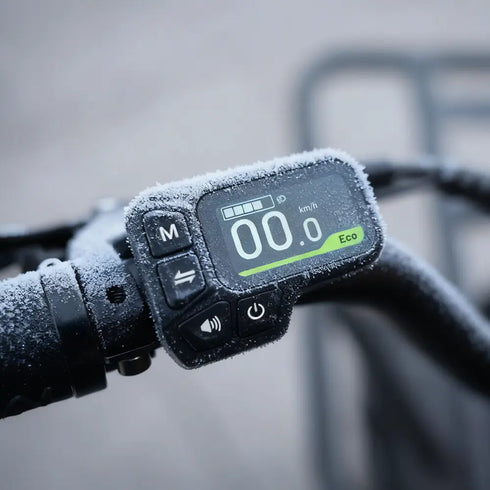 Fiido T2 | Longtail Cargo Bicicletta elettrica | Versatile| Motore 250W 55Nm | DMEGC 998.4Wh | Sensore di coppia | Freni idraulici a 4 pistoni | Autonomia 136,26Km| GARANZIA ITALIANA