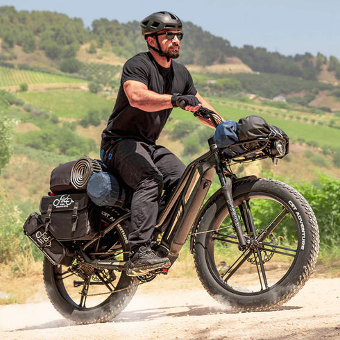 FIIDO Titan | Bicicletta elettrica | Sensore di Coppia | Motore 250W 55Nm | Autonomia 115km | GARANZIA ITALIANA
