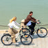 Fiido C700 | Bicicletta elettrica Urbana | Motore 250W | DMEGC 313,2 Wh | Sensore di coppia | Freni idraulici | Autonomia 83,14Km| GARANZIA ITALIANA