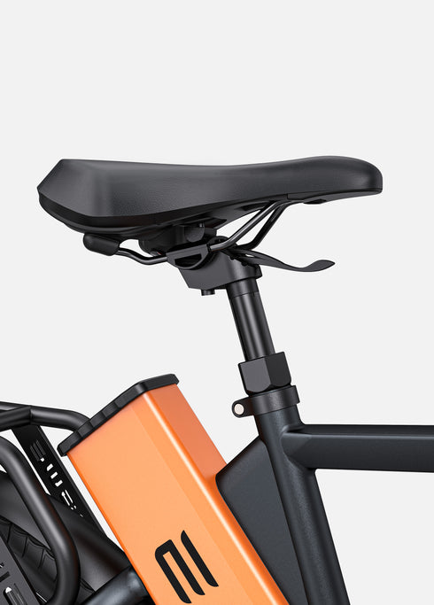 ENGWE P275 Pro | Bicicletta Elettrica | Motore centrale Bafang 250W | Sensore di coppia | 36 V 19,2 Ah SAMSUNG | Cintura in carbonio Gates | Autonomia 260Km| GARANZIA ITALIANA