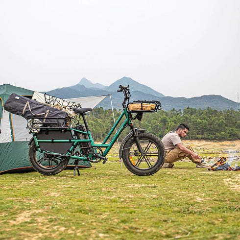 Fiido T2 | Longtail Cargo Bicicletta elettrica | Versatile| Motore 250W 55Nm | DMEGC 998.4Wh | Sensore di coppia | Freni idraulici a 4 pistoni | Autonomia 136,26Km| GARANZIA ITALIANA