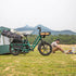Fiido T2 | Longtail Cargo Bicicletta elettrica | Versatile| Motore 250W 55Nm | DMEGC 998.4Wh | Sensore di coppia | Freni idraulici a 4 pistoni | Autonomia 136,26Km| GARANZIA ITALIANA