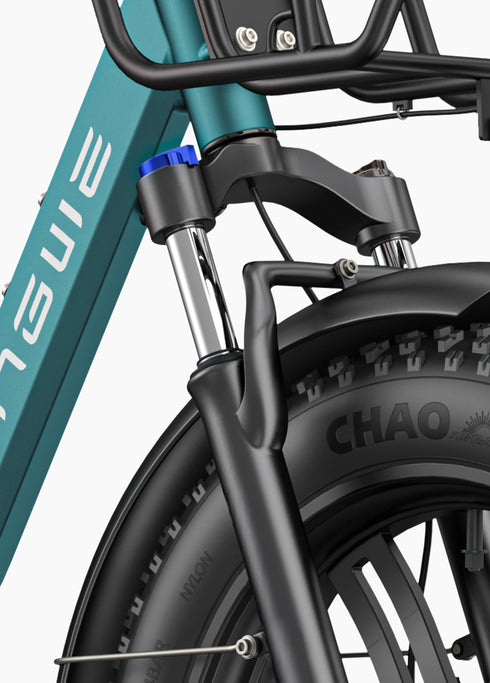 ENGWE L20 Boost | Bicicletta Elettrica | Versatile | Motore 250W | 48V 624wh | Sensore di coppia | 25km/h | Autonomia 126Km| GARANZIA ITALIANA