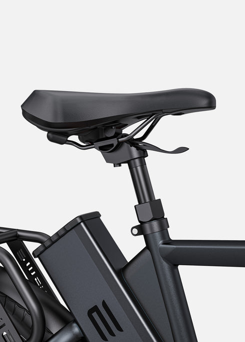 ENGWE P275 Pro | Bicicletta Elettrica | Motore centrale Bafang 250W | Sensore di coppia | 36 V 19,2 Ah SAMSUNG | Cintura in carbonio Gates | Autonomia 260Km| GARANZIA ITALIANA