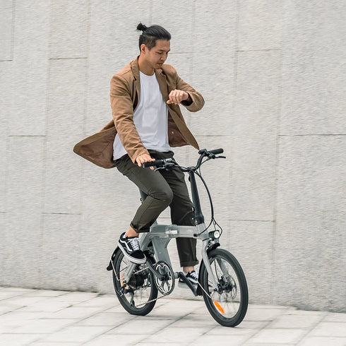 FIIDO D11 2025 | Bicicletta elettrica | Ultra Leggera | DMEGC 417,6 Wh | Sensore di coppia | Freni idraulici | Autonomia 86Km| GARANZIA ITALIANA