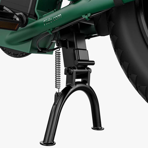 Fiido T2 | Longtail Cargo Bicicletta elettrica | Versatile| Motore 250W 55Nm | DMEGC 998.4Wh | Sensore di coppia | Freni idraulici a 4 pistoni | Autonomia 136,26Km| GARANZIA ITALIANA