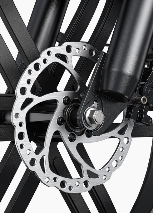 ENGWE L20 Boost | Bicicletta Elettrica | Versatile | Motore 250W | 48V 624wh | Sensore di coppia | 25km/h | Autonomia 126Km| GARANZIA ITALIANA