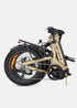 ENGWE L20 3.0 Pro | Bicicletta Elettrica | Motore Centrale 250W | Sensore di coppia | Certificata TÜV | GARANZIA ITALIANA e 100% A NORMA