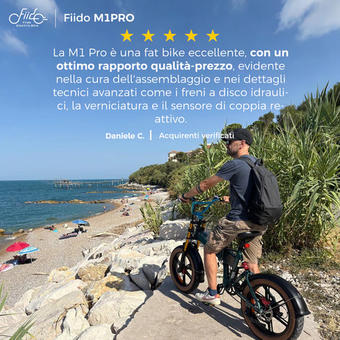 Fiido M1 Pro 2025 |GARANZIA ITALIANA| Bicicletta elettrica | Versatile | Motore 250W 50Nm | Batteria 556.8Wh | Sensore di coppia | Freni idraulici | Autonomia 88,79 Km