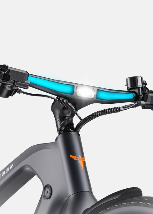 ENGWE MAPFOUR N1 PRO | Bicicletta Elettrica in Fibra di Carbonio | Mid-drive Motore 250W | Cintura carbonio | Sensore di coppia | Samsung batteria 100Km | GARANZIA ITALIANA
