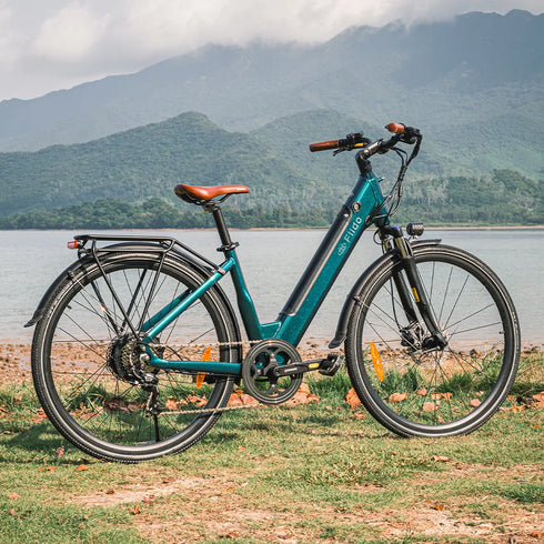 Fiido C11 Pro | Bicicletta elettrica Urbana | Motore 250W 55Nm | DMEGC/EVE 499,2Wh | Sensore di coppia | Freni idraulici | Autonomia 104Km| GARANZIA ITALIANA