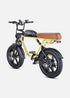 ENGWE M1 | Bicicletta Elettrica per due passeggeri | Versatile | Motore 250W | 48V 15.6Ah/15.6Ah+13Ah | GARANZIA ITALIANA