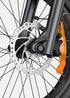 ENGWE L20 3.0 Pro | Bicicletta Elettrica | Motore Centrale 250W | Sensore di coppia | Certificata TÜV | GARANZIA ITALIANA e 100% A NORMA