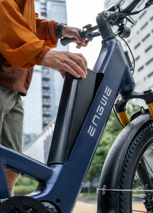 ENGWE E26 3.0 Pro | Bicicletta Elettrica | Motore Centrale 250W | Sensore di coppia | GARANZIA ITALIANA
