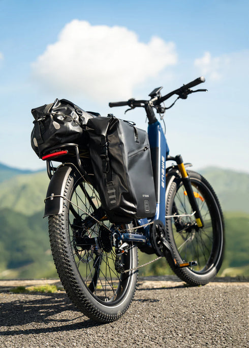 ENGWE E26 3.0 Pro | Bicicletta Elettrica | Motore Centrale 250W | Sensore di coppia | GARANZIA ITALIANA