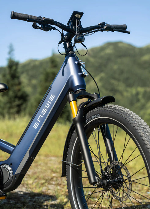 ENGWE E26 3.0 Pro | Bicicletta Elettrica | Motore Centrale 250W | Sensore di coppia | GARANZIA ITALIANA
