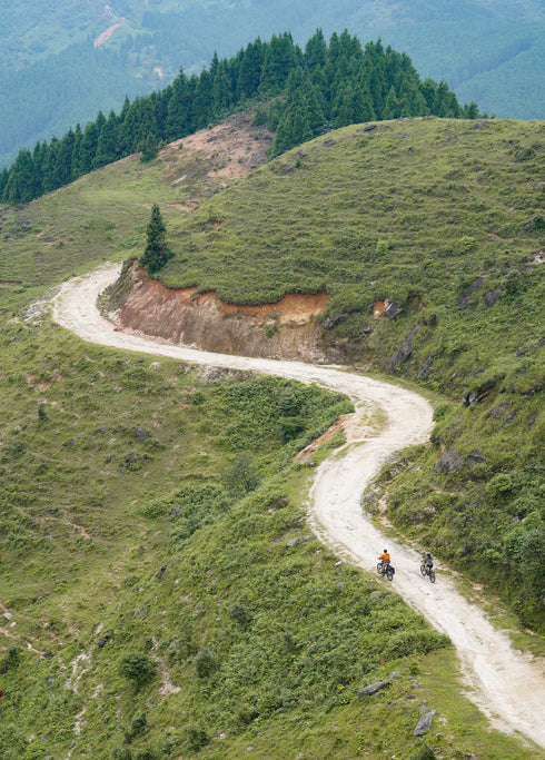ENGWE E26 3.0 Pro | Bicicletta Elettrica | Motore Centrale 250W | Sensore di coppia | GARANZIA ITALIANA