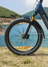 ENGWE E26 3.0 Pro | Bicicletta Elettrica | Motore Centrale 250W | Sensore di coppia | GARANZIA ITALIANA