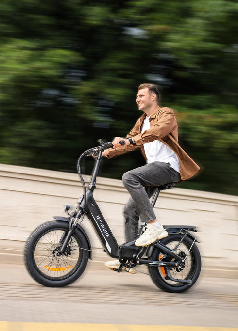 ENGWE L20 3.0 Boost | Bicicletta Elettrica | Motore 250W | Sensore di coppia | Certificata TÜV | GARANZIA ITALIANA e 100% A NORMA