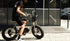 Copertone Vee Tire Co Huntsman Pneumatico 20x4.0 pollici Fat Tire per bici elettriche E-Bike ENGWE EP-2 Pro/EP-2 Pro EU/EP-2 BOOST/Engine Pro/Engine Pro 2.0/M20/M1/ENGINE X, FIIDO M1/ M1 Pro, SHENGMILO MX21, SAMEBIKE, ADO, HIMO