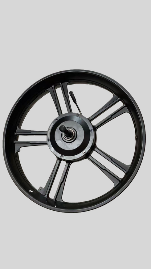 Cerchione Posteriore con Motore ruota Originale per ENGWE M20