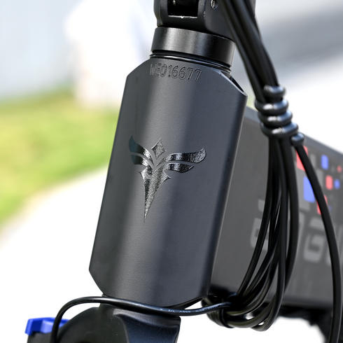 ENGWE ENGINE X | Bicicletta elettrica | Motore 250W | 48V 13AH | Autonomia 90km | GARANZIA ITALIANA