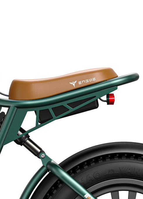 ENGWE M20 | Bicicletta Elettrica | Versatile | 48V 13Ah/26Ah | Autonomia 75Km+75Km| GARANZIA ITALIANA