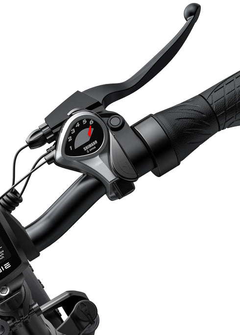 ENGWE EP-2 PRO EU | Bicicletta elettrica | Ruote Fat | 48V 13Ah | Autonomia fino 100km | GARANZIA ITALIANA