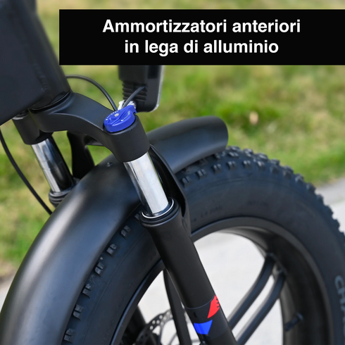 ENGWE ENGINE X | Bicicletta elettrica | Motore 250W | 48V 13AH | Autonomia 90km | GARANZIA ITALIANA